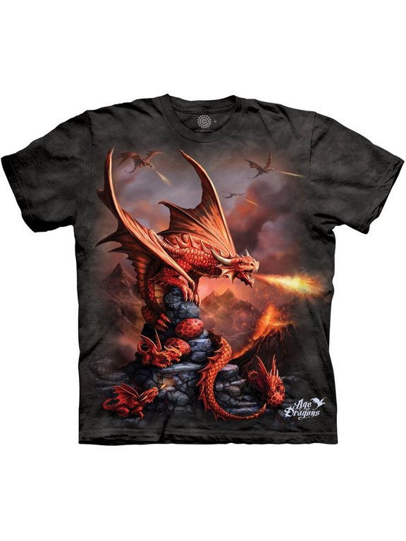 Fire Dragon Adult T-Shirt, Grey, 3XL