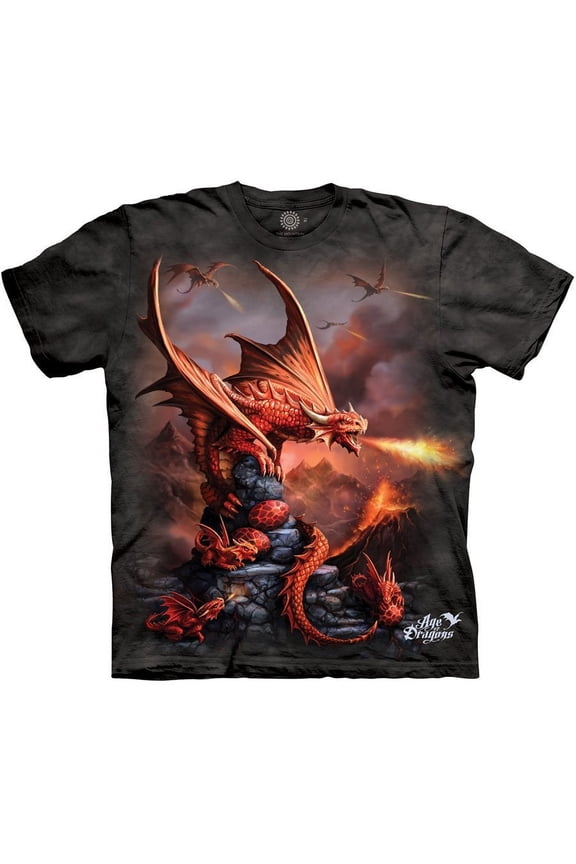 Fire Dragon Adult T-Shirt, Grey, 3XL