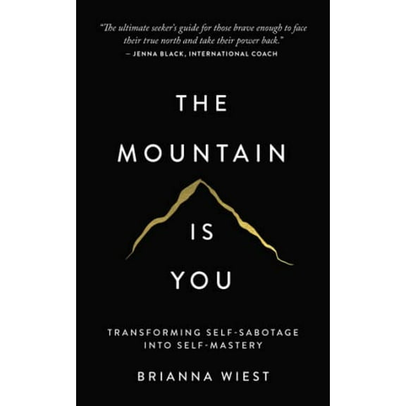 Pre-Owned The Mountain Is You : Transforming Self-Sabotage into Self-Mastery (Paperback) 9781949759228