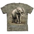 thumbnail image 1 of The Mountain Men's  Asian Elephants T-shirt, 1 of 1