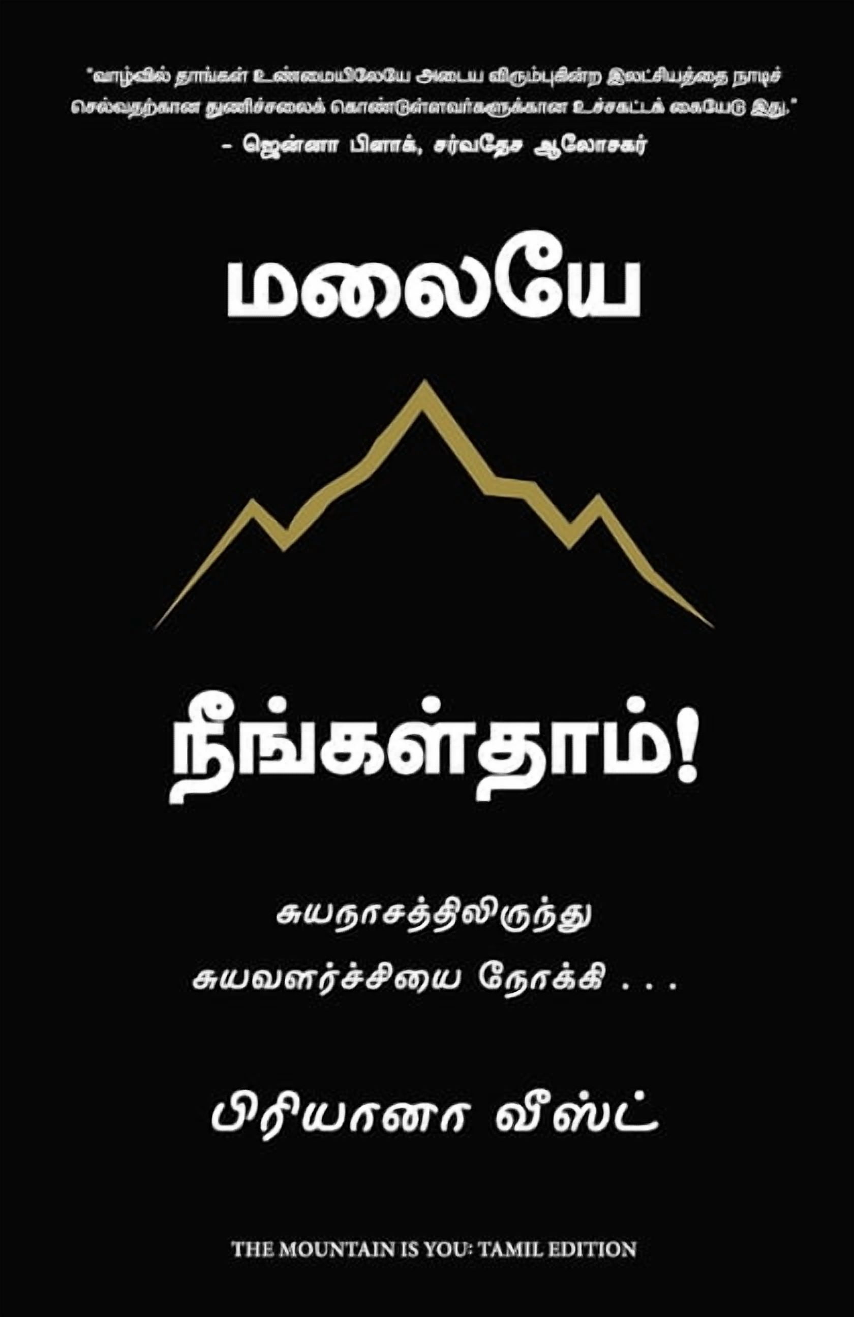 The Mountain is You, (Paperback)