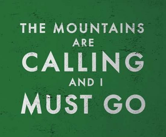 The Mountains are Calling Canvas Art - Go Jump in the Lake (20 x 24)