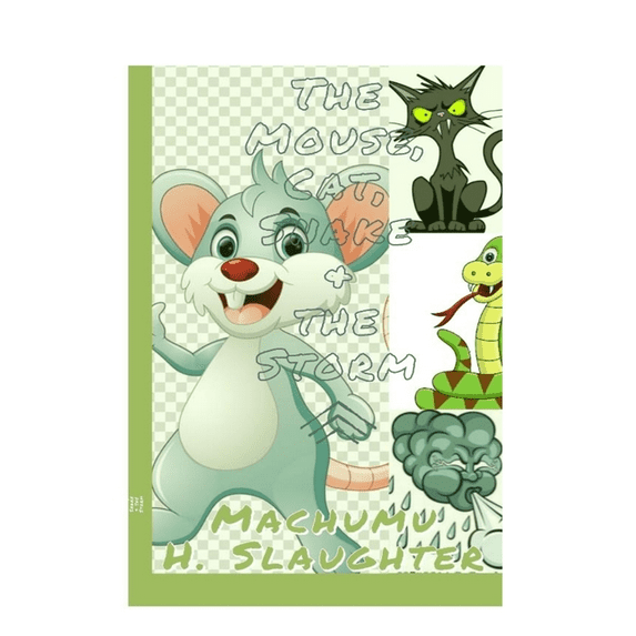 The Mouse, Cat, Snake & the Storm (Paperback)