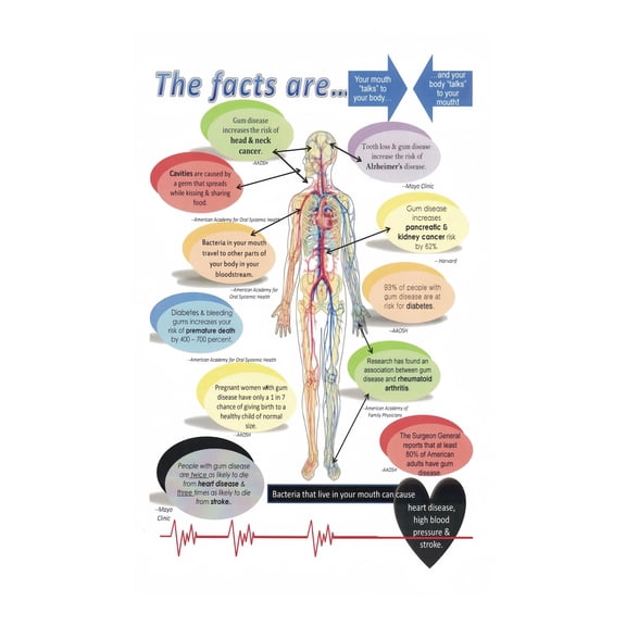 The Mouth Body Connection Educational Poster Oral Health and Whole Body Wellness Chart for Dental Hygiene School Health Science Classroom Wall Decor