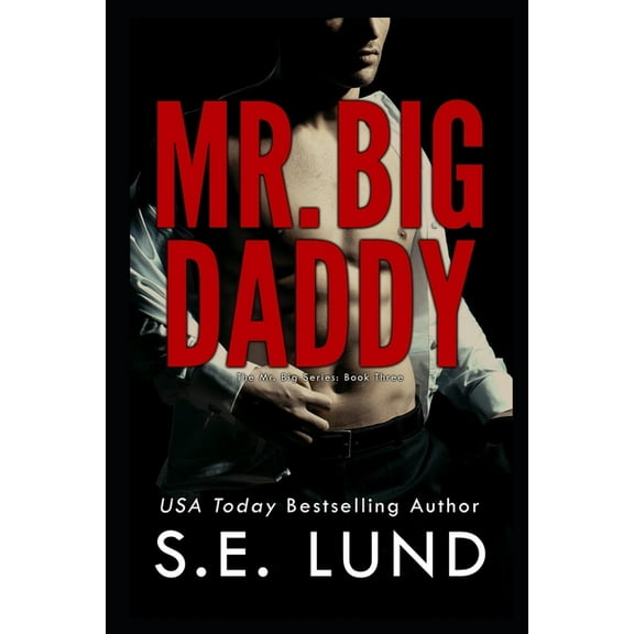 The Mr. Big: Mr. Big Daddy (Series #3) (Paperback)