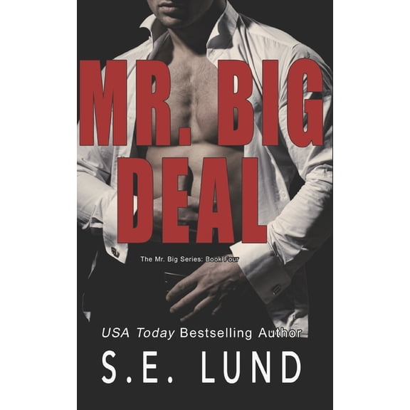 The Mr. Big: Mr. Big Deal (Series #4) (Paperback)