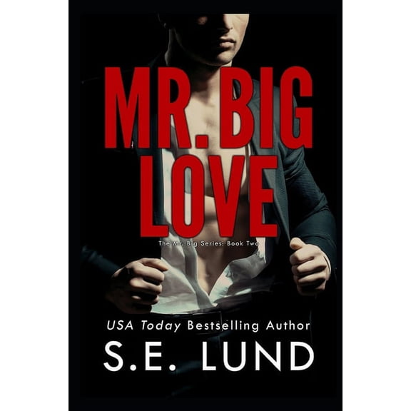 The Mr. Big: Mr. Big Love : The Mr. Big Series: Book Two (Series #2) (Paperback)
