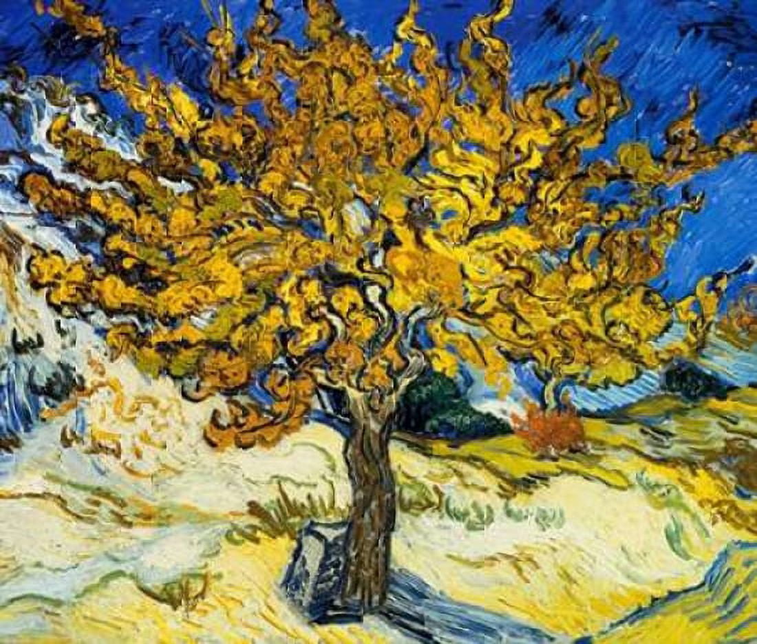 The Mulberry Tree 1889 Canvas Art - Vincent Van Gogh (24 x 24)