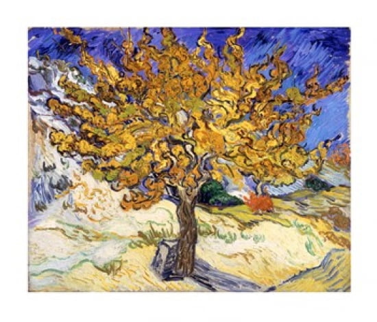 The Mulberry Tree in Autumn c1889 Canvas Art - Vincent Van Gogh (28 x 24)