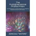 thumbnail image 1 of The Multidimensional Profits Prism: An Entrepreneur's Creation Planner For Designing Multidimensional Profits Models, (Paperback), 1 of 1