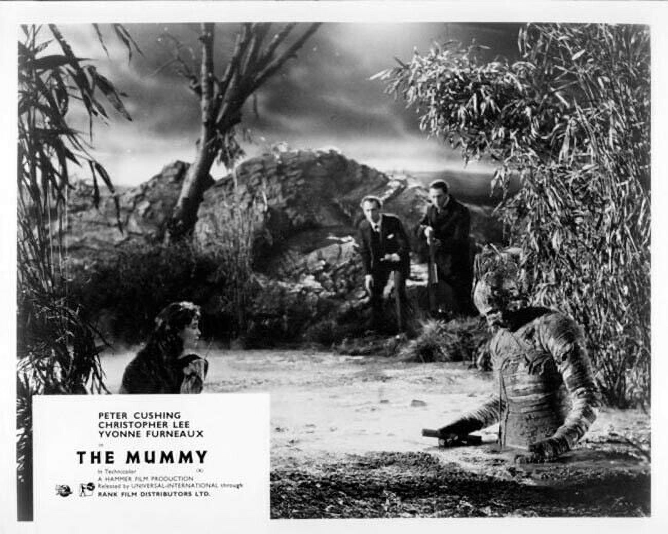 The Mummy 1959 Christopher Lee Peter Cushing Yvonne Furneaux swamp 8x10 ...
