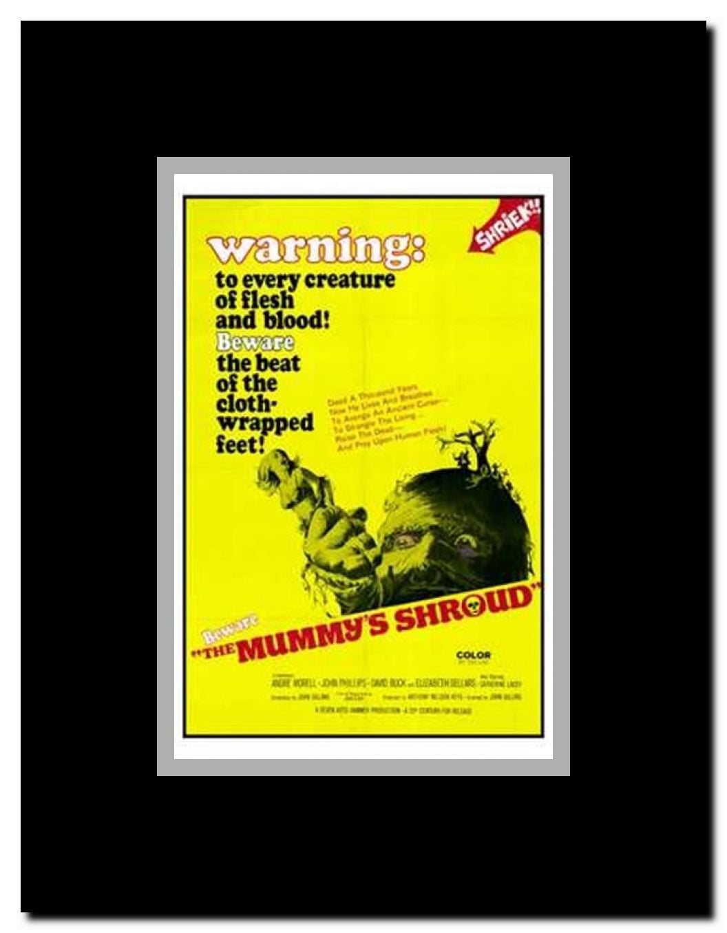 The Mummy's Shroud Framed Movie Poster