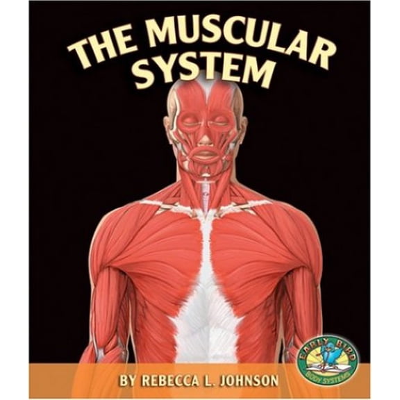 Pre-Owned The Muscular System (Early Bird Body Systems) Hardcover