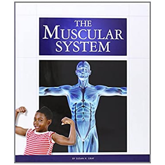 Pre-Owned The Muscular System (Library Binding) 1626873364 9781626873360