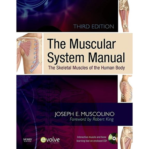 Pre-Owned The Muscular System Manual: The Skeletal Muscles of the Human Body (Paperback) 0323057233 9780323057233