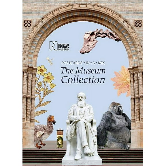 The Museum Collection: Postcards in a Box, (Hardcover)
