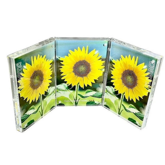 The Museum TRIPLE 4x6 MAGNET FRAME by Canetti - 4x6