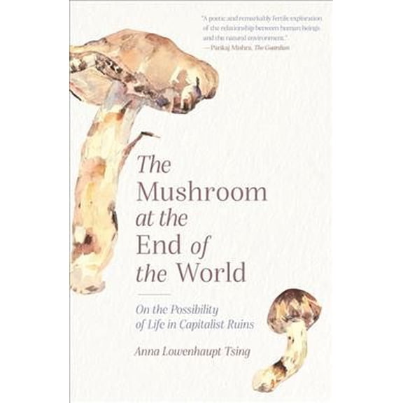 Pre-Owned The Mushroom at the End of the World: On the Possibility of Life in Capitalist Ruins, 9780691220550, 0691220557, Paperback, Reprint edition
