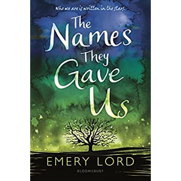 Pre-Owned The Names They Gave Us (Paperback) 1681195925 9781681195926