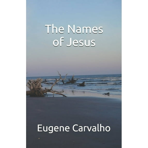 The Names of Jesus (Paperback)