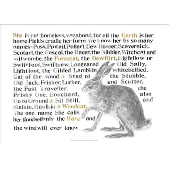 Names of the Hare Poster