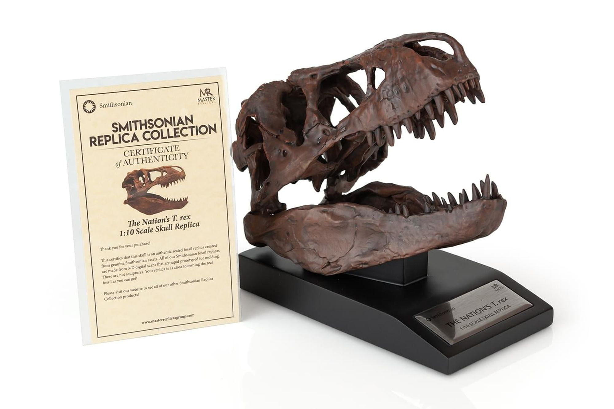 The Nation's T-Rex Skull Statue | 6-Inch Smithsonian Fossil