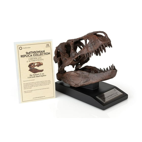 The Nation's T-Rex Skull Statue | 6-Inch Smithsonian Fossil Replica| 1:10 Scale