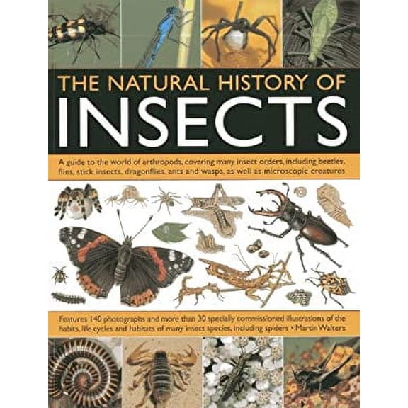 Pre-Owned The Natural History of Insects : A Guide to the World of Arthropods, Covering Many Insects Orders, Including Beetles, Flies, Stick Insects, Dragonflies, Ants and Wasps, 9781844764686 Used