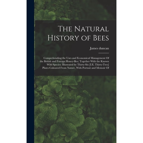 The Natural History of Bees, (Hardcover)