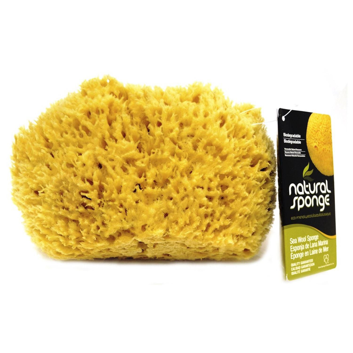  XFO Sea Sponge, Natural Sea Wool Sponge (Large 6in