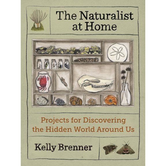 Pre-Owned The Naturalist at Home: Projects for Discovering the Hidden World Around Us