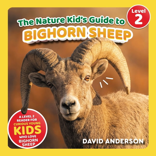 The Nature Kid's Guide to Bighorn Sheep: A Level 2 Reader for Curious Young Kids Who Love Bighorn Sheep!, (Paperback)