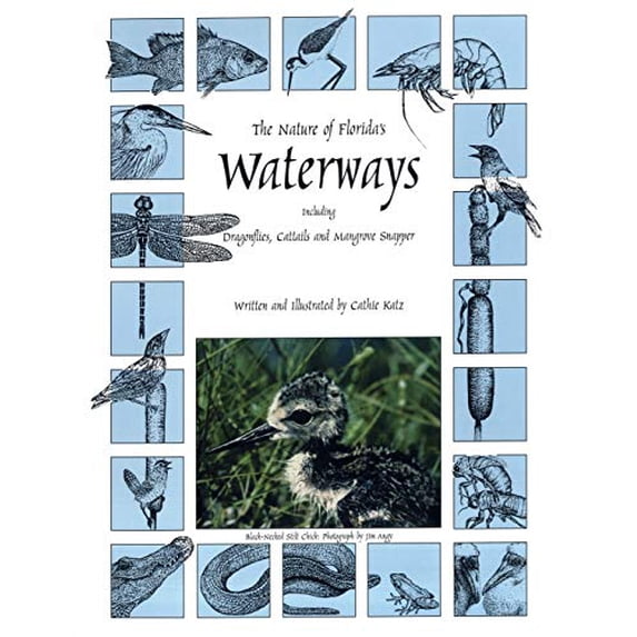 Pre-Owned Nature of Florida's Waterways: Including Dragonflies, Cattails, and Mangrove Snapper (Paperback) 0820012025 9780820012025