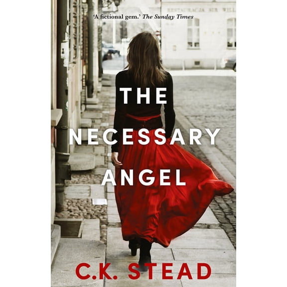 The Necessary Angel (Paperback)