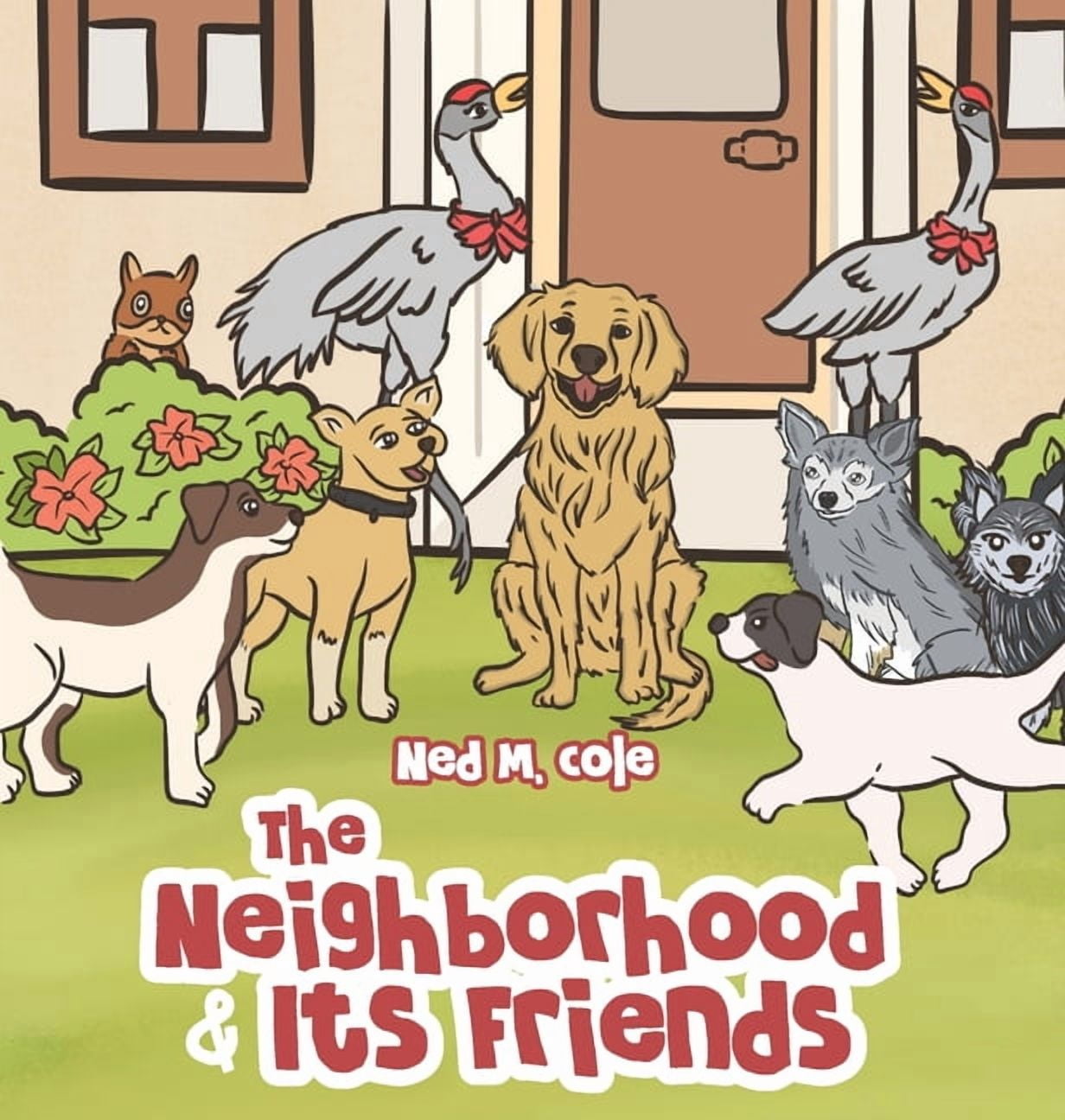 The Neighborhood and Its Friends, (Hardcover)
