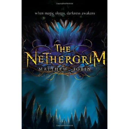 Pre-Owned The Nethergrim (Hardcover) 0399159983 9780399159985