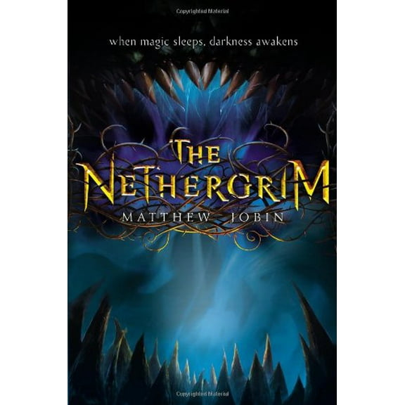 Pre-Owned The Nethergrim (Hardcover) 0399159983 9780399159985