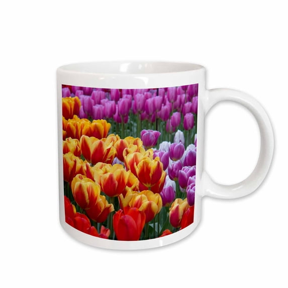 3drose, the Netherlands, Lisse, Keukenhof Gardens. Close-up of Tulips., 11oz Mug