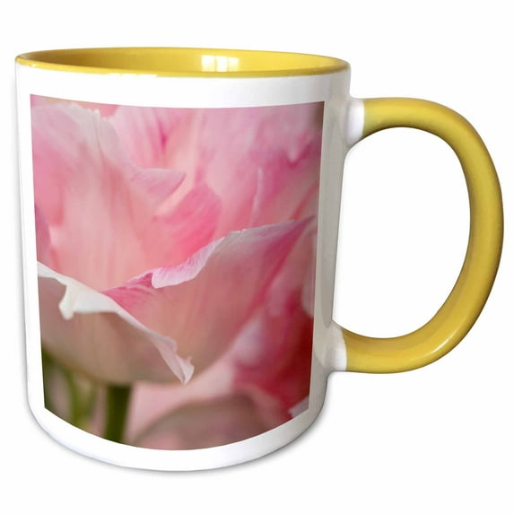 The Netherlands, Lisse, Keukenhof Gardens. Close-up of tulip. 11oz Two-Tone Yellow Mug mug-209952-8