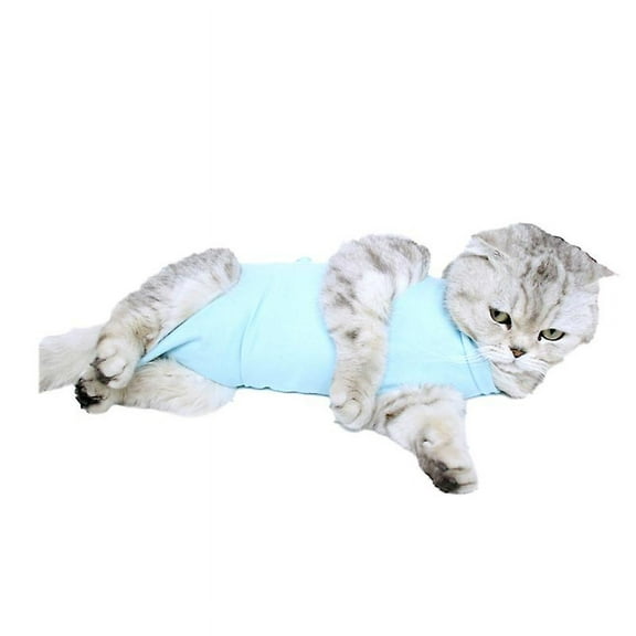 The New 1pcs Cat Recovery Clothes