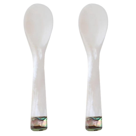 The New 2pcs Shell Spoon