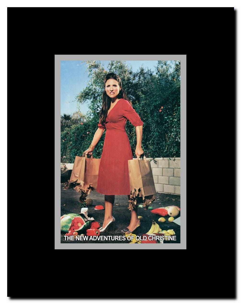 The New Adventures of Old Christine Framed Movie Poster