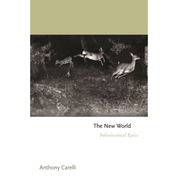 Pre-Owned New World, The: Infinitesimal Epics: 164 (Princeton Series of Contemporary Poets, 164): 163 (Princeton Series of Contemporary Poets, 163) Paperback