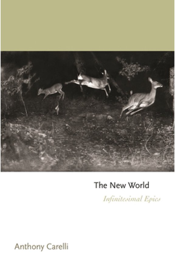 Pre-Owned The New World: Infinitesimal Epics (Princeton Series of Contemporary Poets), 9780691218793, 069121879X, Paperback,