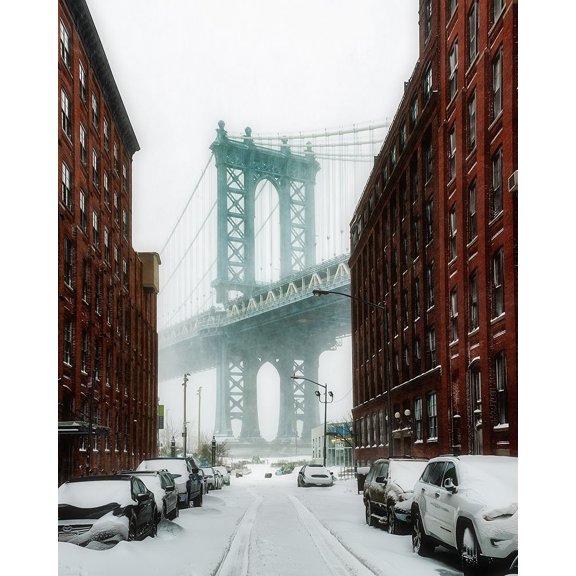 The New York Blizzard Poster Print by Bruce Getty (11 x 14)