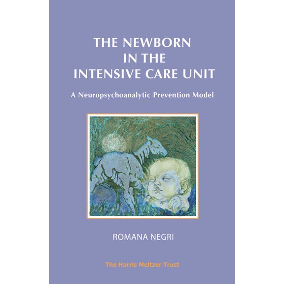 The Newborn in the Intensive Care Unit: A Neuropsychoanalytic Prevention Model, (Paperback)