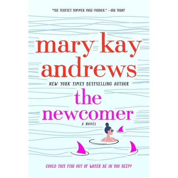 The Newcomer : A Novel (Paperback)