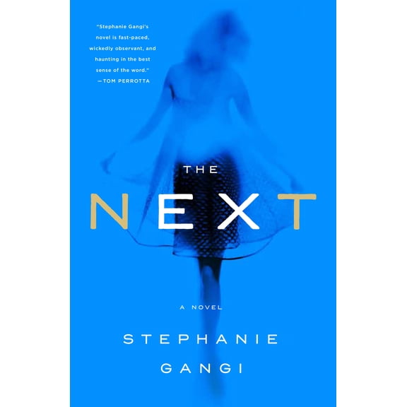 The Next : A Novel (Hardcover)