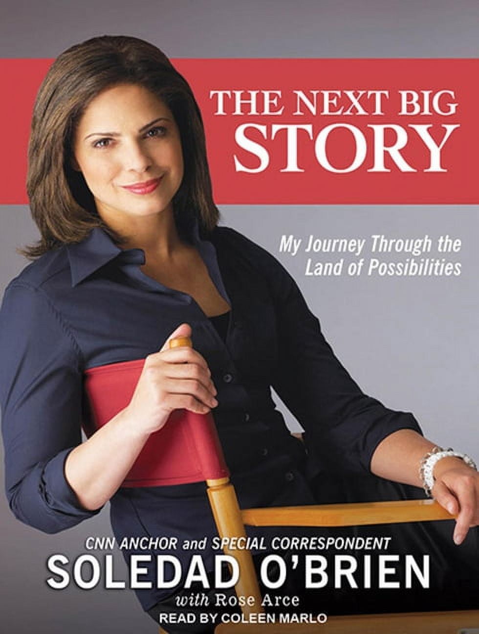 The Next Big Story (Audiobook)