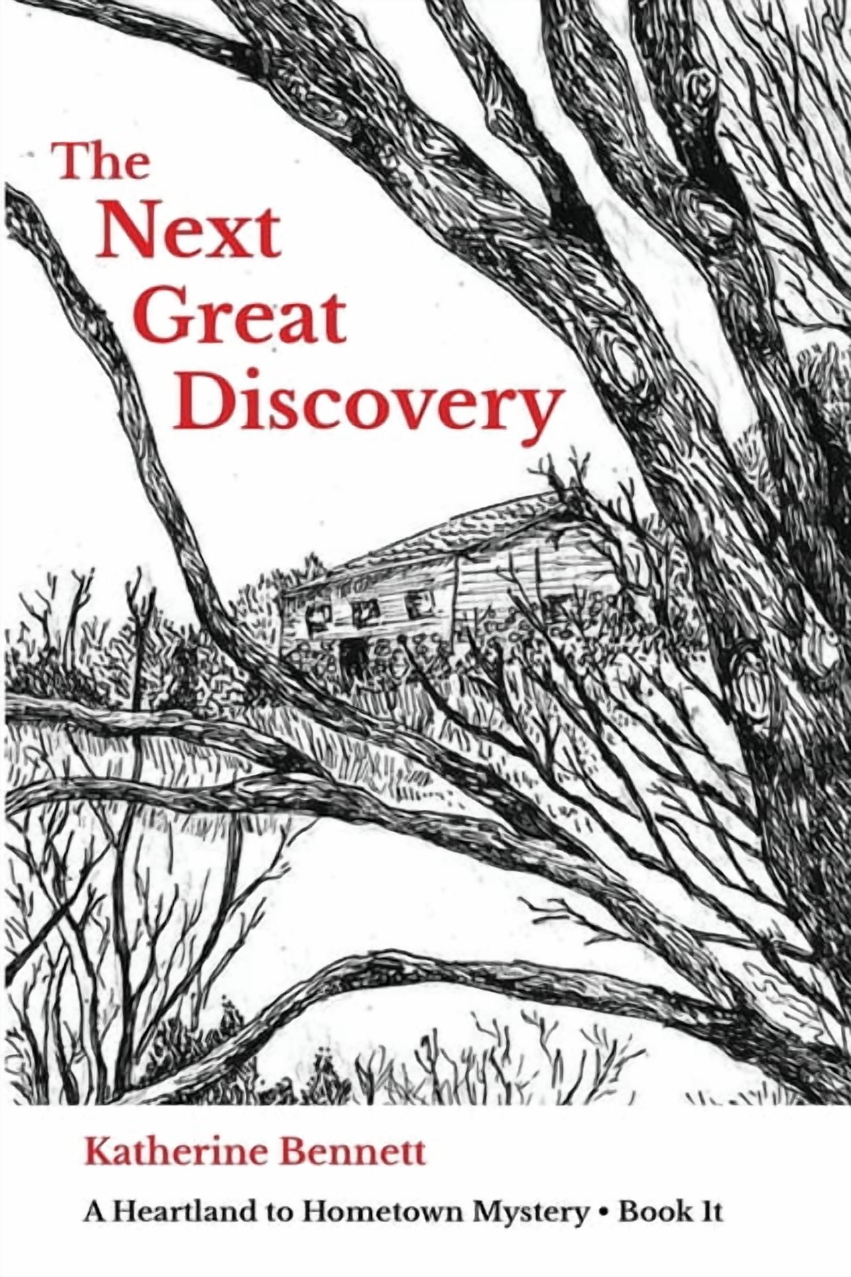 The Next Great Discovery, (Paperback)